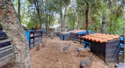 Residential - Farm - T3 - Pinhal Novo, Palmela - PT