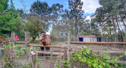 Residential - Farm - T3 - Pinhal Novo, Palmela - PT