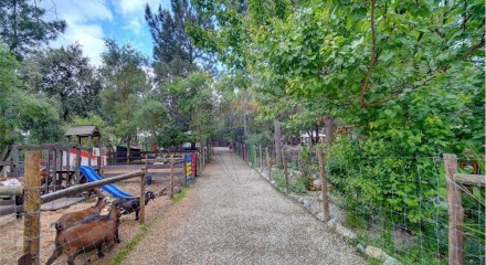 Residential - Farm - T3 - Pinhal Novo, Palmela - PT