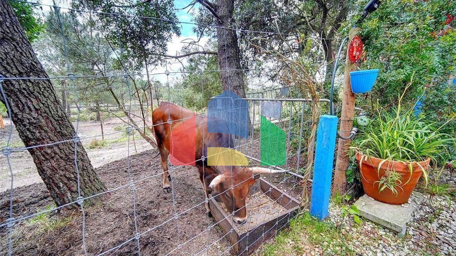 Residential - Farm - T3 - Pinhal Novo, Palmela - PT