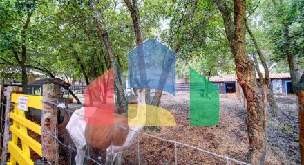 Residential - Farm - T3 - Pinhal Novo, Palmela - PT Residential - Farm - T3 - Pinhal Novo, Palmela - PT