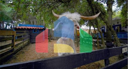 Residential - Farm - T3 - Pinhal Novo, Palmela - PT Residential - Farm - T3 - Pinhal Novo, Palmela - PT