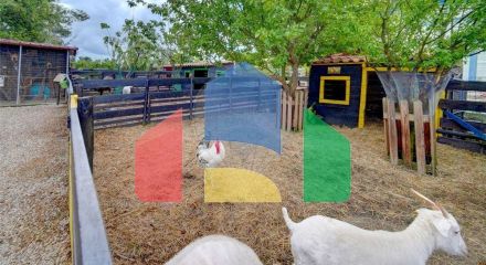 Residential - Farm - T3 - Pinhal Novo, Palmela - PT Residential - Farm - T3 - Pinhal Novo, Palmela - PT