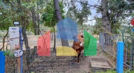 Residential - Farm - T3 - Pinhal Novo, Palmela - PT Residential - Farm - T3 - Pinhal Novo, Palmela - PT