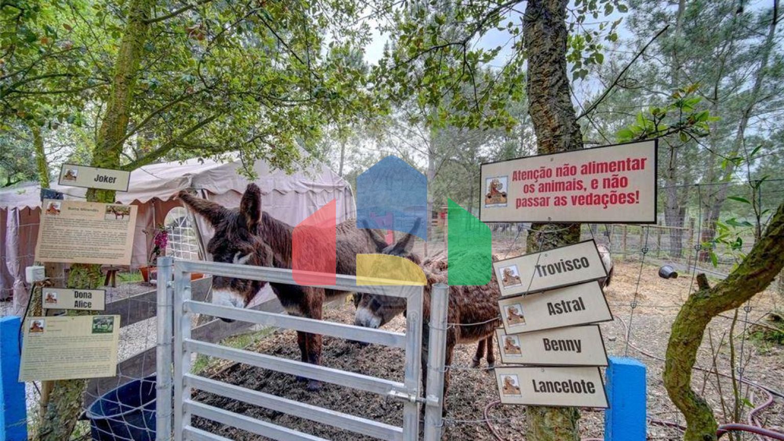 Residential - Farm - T3 - Pinhal Novo, Palmela - PT