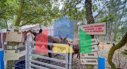 Residential - Farm - T3 - Pinhal Novo, Palmela - PT Residential - Farm - T3 - Pinhal Novo, Palmela - PT