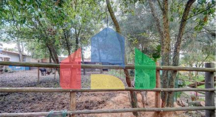 Residential - Farm - T3 - Pinhal Novo, Palmela - PT Residential - Farm - T3 - Pinhal Novo, Palmela - PT