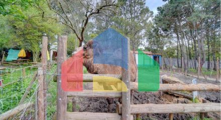 Residential - Farm - T3 - Pinhal Novo, Palmela - PT Residential - Farm - T3 - Pinhal Novo, Palmela - PT