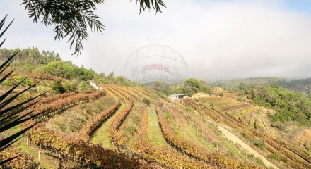 Residential - Land - Lamas, Miranda do Corvo - PT