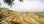 Residential - Land - Lamas, Miranda do Corvo - PT