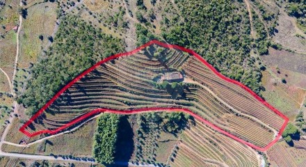 Residential - Land - Lamas, Miranda do Corvo - PT