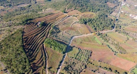Residential - Land - Lamas, Miranda do Corvo - PT