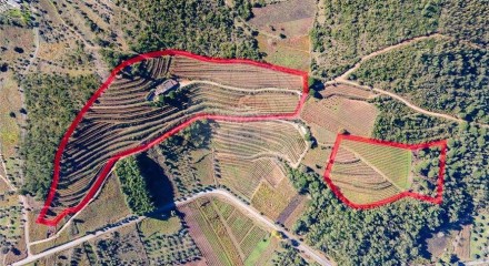 Residential - Land - Lamas, Miranda do Corvo - PT