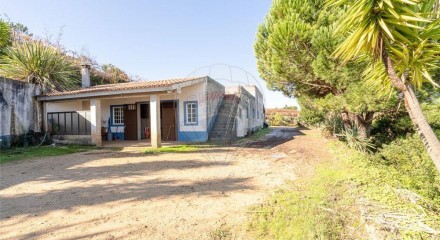 Residential - Land - Lamas, Miranda do Corvo - PT
