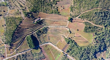 Residential - Land - Lamas, Miranda do Corvo - PT