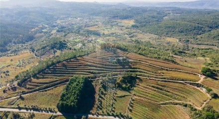 Residential - Land - Lamas, Miranda do Corvo - PT