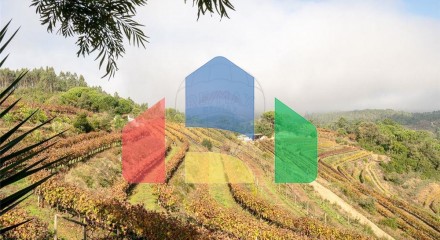 Residential - Land - Lamas, Miranda do Corvo - PT