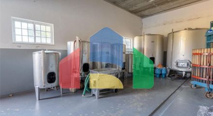 Residential - Land - Lamas, Miranda do Corvo - PT