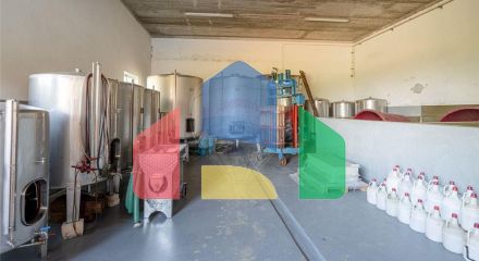 Residential - Land - Lamas, Miranda do Corvo - PT