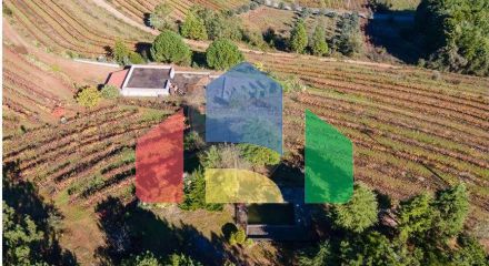 Residential - Land - Lamas, Miranda do Corvo - PT