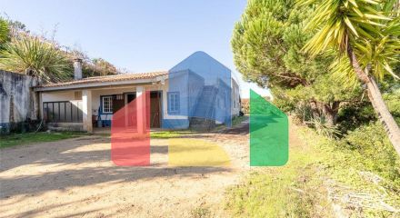 Residential - Land - Lamas, Miranda do Corvo - PT