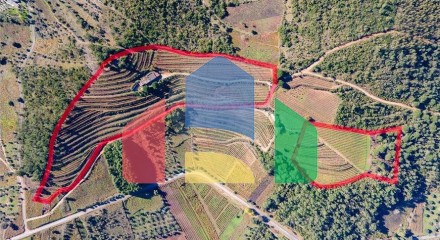 Residential - Land - Lamas, Miranda do Corvo - PT