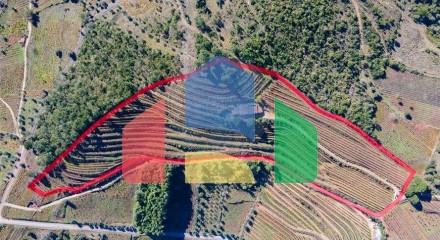 Residential - Land - Lamas, Miranda do Corvo - PT