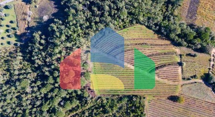 Residential - Land - Lamas, Miranda do Corvo - PT