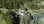 Residential - Farm - Canas de Senhorim, Nelas - PT