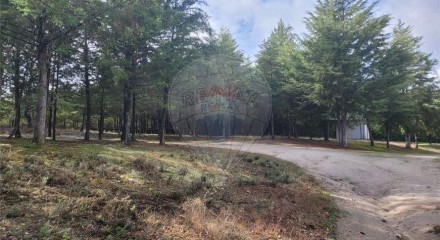 Residential - Farm - Canas de Senhorim, Nelas - PT