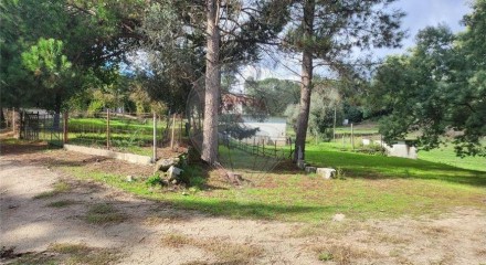 Residential - Farm - Canas de Senhorim, Nelas - PT