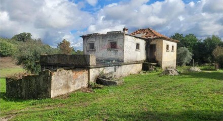 Residential - Farm - Canas de Senhorim, Nelas - PT