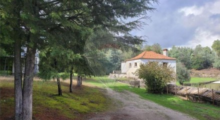 Residential - Farm - Canas de Senhorim, Nelas - PT