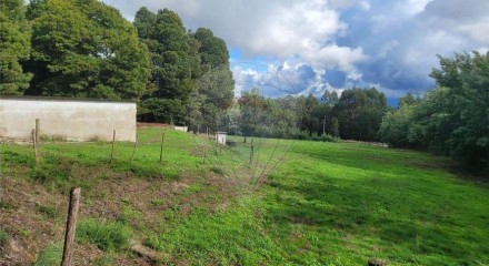 Residential - Farm - Canas de Senhorim, Nelas - PT