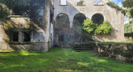 Residential - Farm - Canas de Senhorim, Nelas - PT