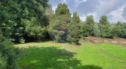 Residential - Farm - Canas de Senhorim, Nelas - PT