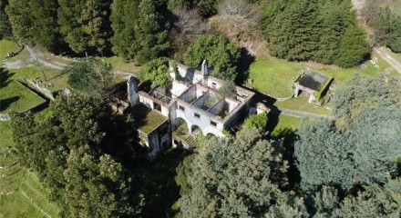 Residential - Farm - Canas de Senhorim, Nelas - PT