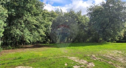 Residential - Farm - Canas de Senhorim, Nelas - PT