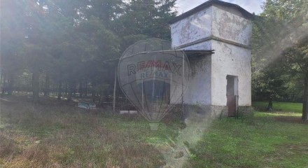 Residential - Farm - Canas de Senhorim, Nelas - PT