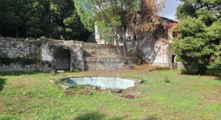 Residential - Farm - Canas de Senhorim, Nelas - PT