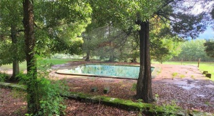 Residential - Farm - Canas de Senhorim, Nelas - PT