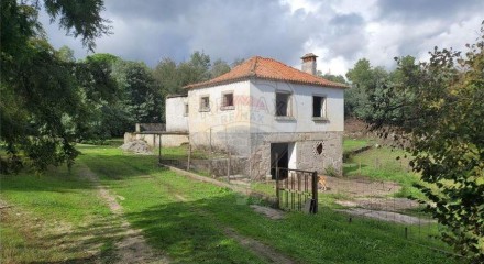Residential - Farm - Canas de Senhorim, Nelas - PT