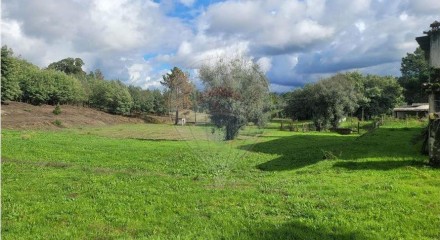 Residential - Farm - Canas de Senhorim, Nelas - PT