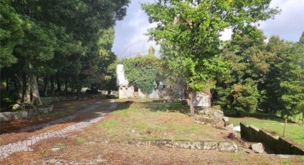 Residential - Farm - Canas de Senhorim, Nelas - PT