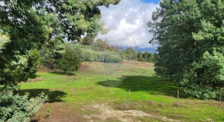 Residential - Farm - Canas de Senhorim, Nelas - PT