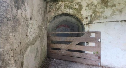 Residential - Farm - Canas de Senhorim, Nelas - PT