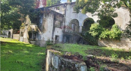 Residential - Farm - Canas de Senhorim, Nelas - PT