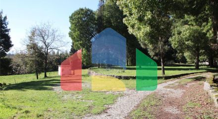 Residential - Farm - Canas de Senhorim, Nelas - PT