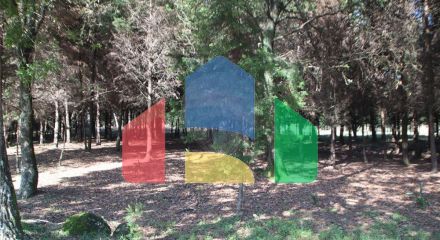 Residential - Farm - Canas de Senhorim, Nelas - PT