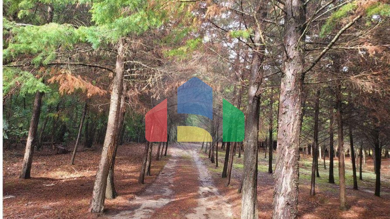 Residential - Farm - Canas de Senhorim, Nelas - PT